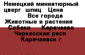 Немецкий миниатюрный(цверг) шпиц › Цена ­ 50 000 - Все города Животные и растения » Собаки   . Карачаево-Черкесская респ.,Карачаевск г.